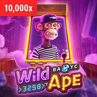 Cá cược thể thao KC88 trên di động